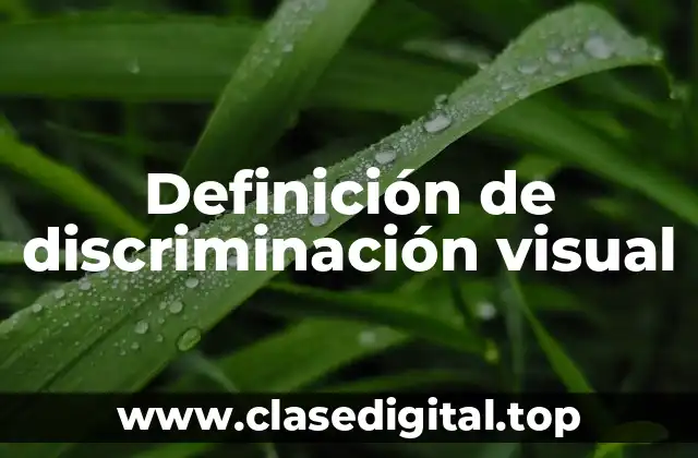 Definición de discriminación visual