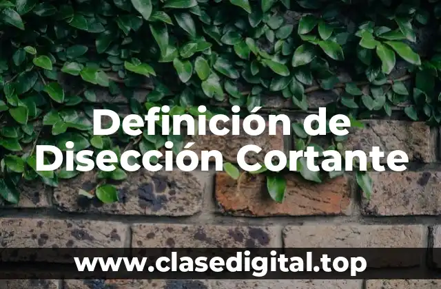 Definición de Disección Cortante