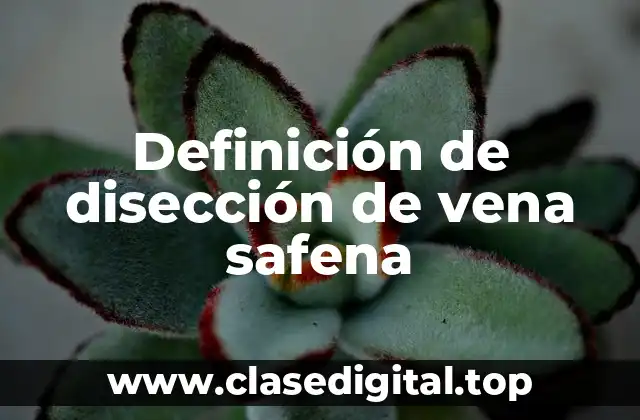 Definición de disección de vena safena