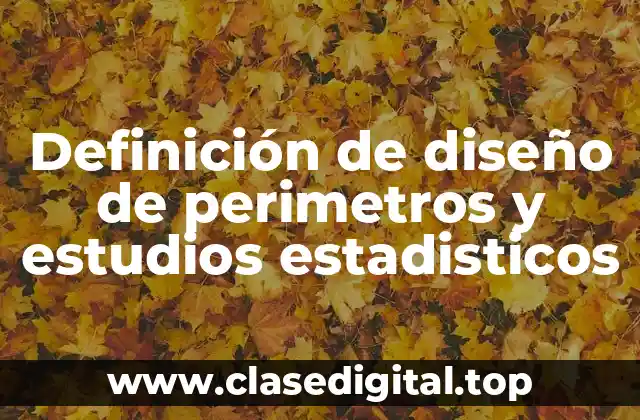 Definición de diseño de perimetros y estudios estadisticos