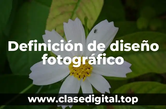 Definición de diseño fotográfico