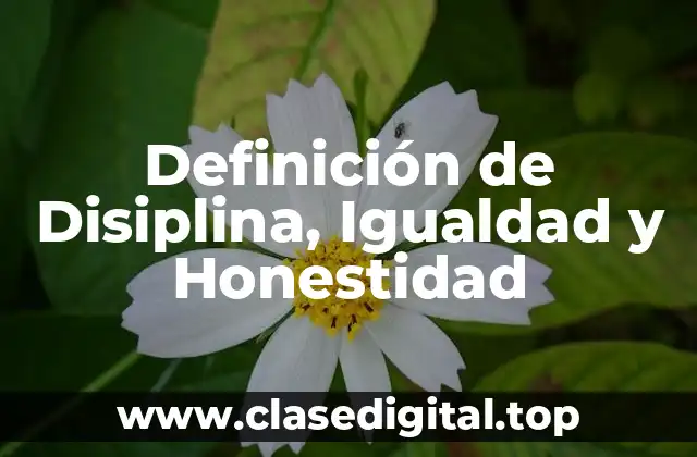 Definición de Disiplina, Igualdad y Honestidad