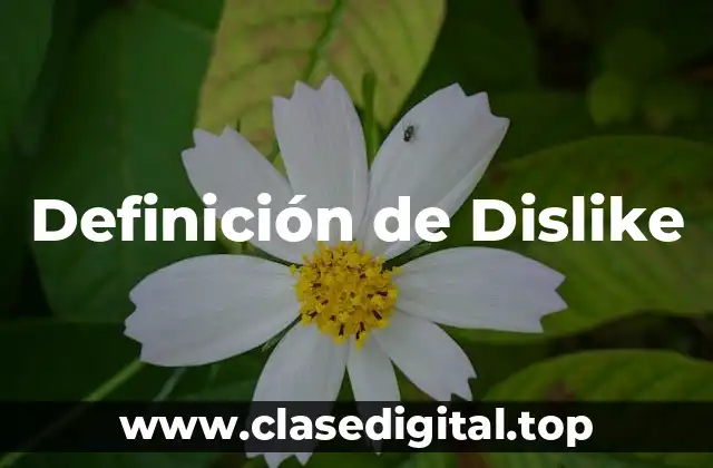 Definición técnica de Dislike