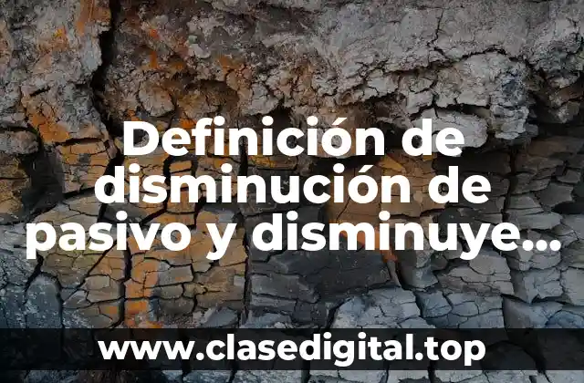 Definición de disminución de pasivo y disminuye de capital contable