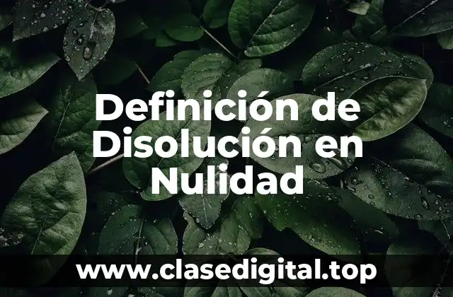 Definición de Disolución en Nulidad