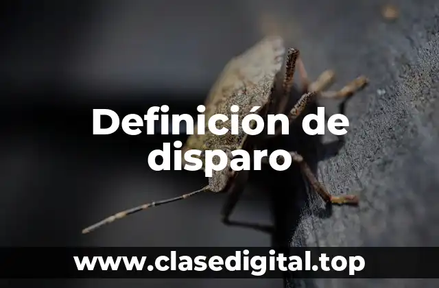 Definición técnica de disparo