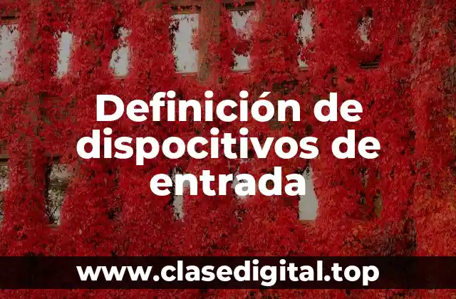 Definición de dispocitivos de entrada