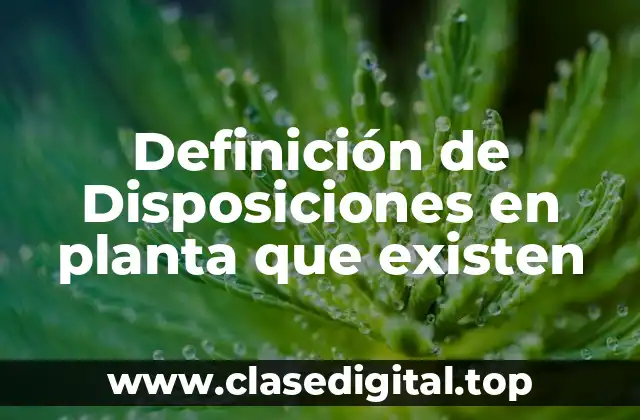 Definición de Disposiciones en planta que existen
