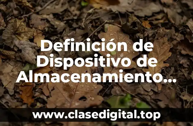 Definición de Dispositivo de Almacenamiento Secundario