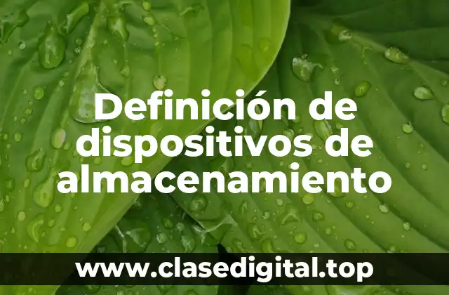 Definición técnica de dispositivo de almacenamiento
