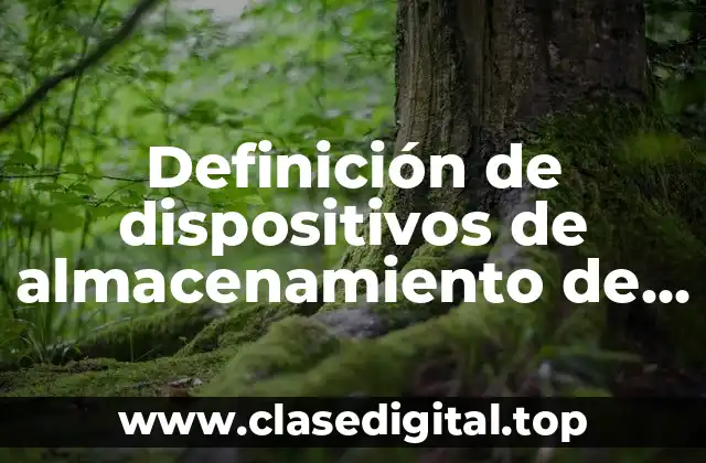 Definición de dispositivos de almacenamiento de información por medio magnético