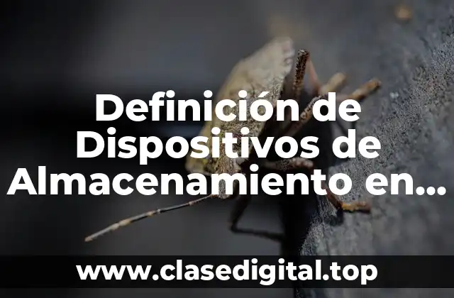 Definición de Dispositivos de Almacenamiento en Informática