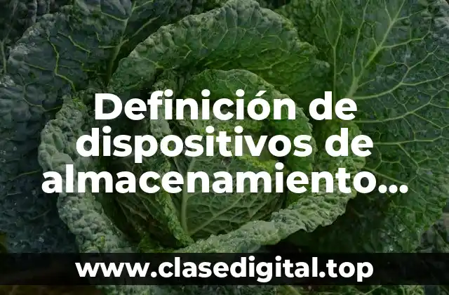 Definición técnica de dispositivo de almacenamiento externo