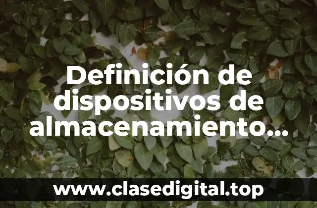 Definición de dispositivos de almacenamiento interno