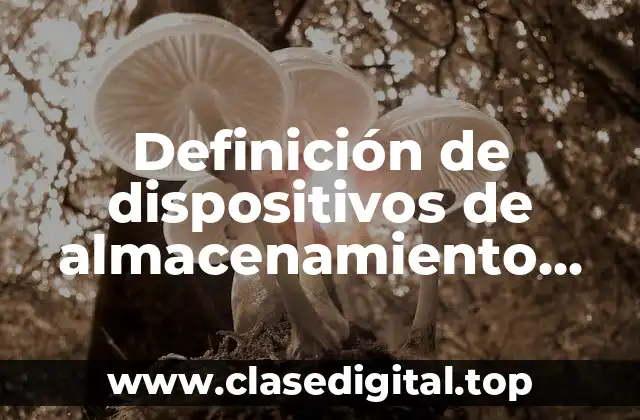 Definición de dispositivos de almacenamiento memorias