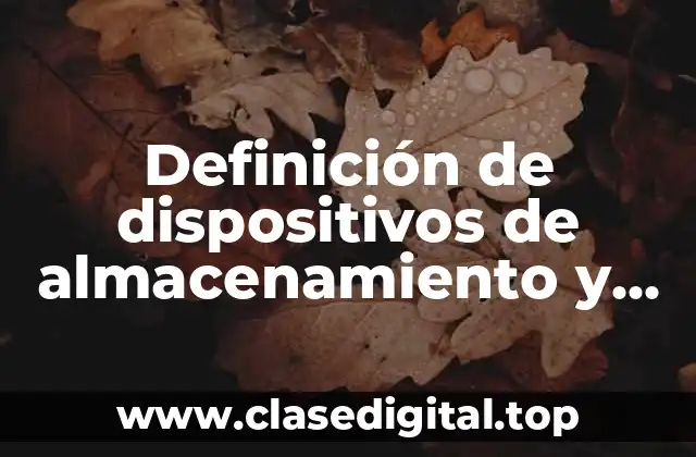 Definición de dispositivos de almacenamiento y sus capacidades