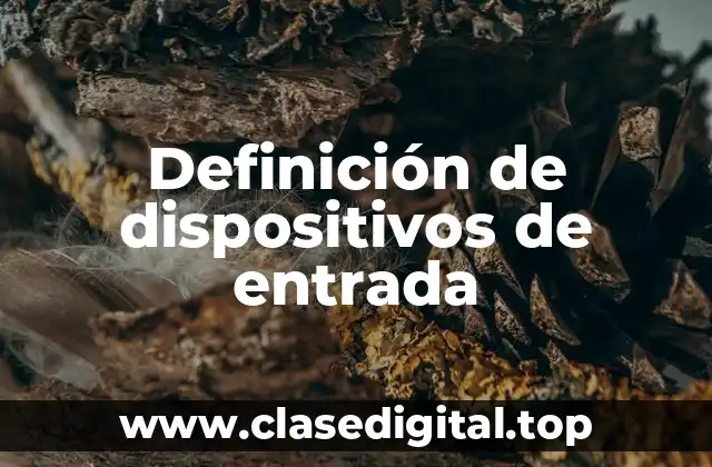 Definición técnica de dispositivos de entrada