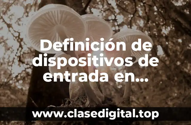 Definición técnica de dispositivos de entrada en informática