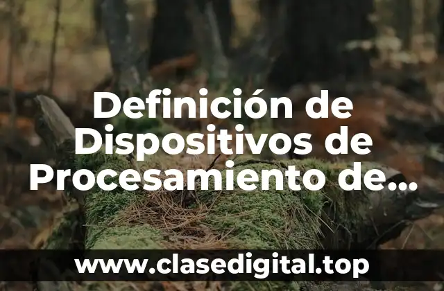 Definición de Dispositivos de Procesamiento de una Computadora