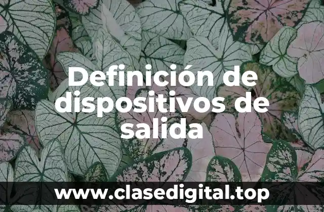 Definición técnica de dispositivos de salida