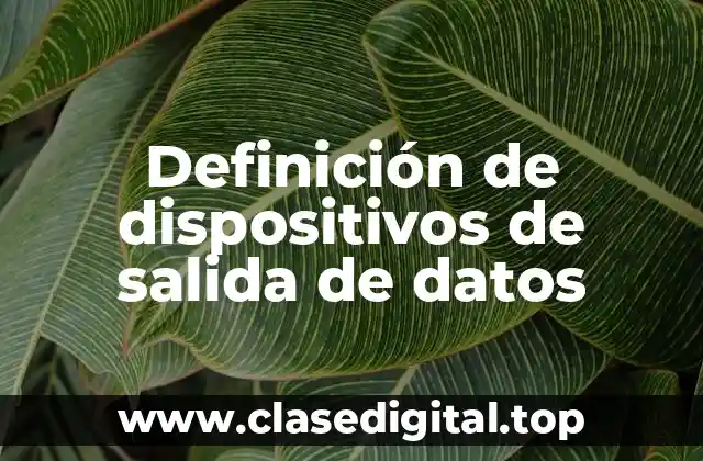 Definición de dispositivos de salida de datos
