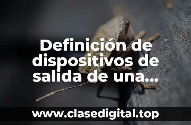 Definición de dispositivos de salida de una computadora