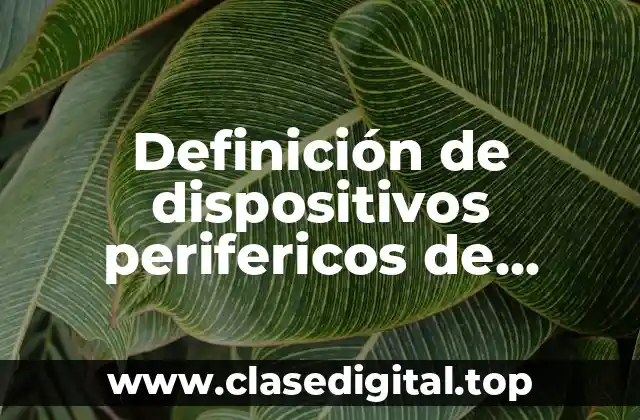 Definición de dispositivos perifericos de entrada