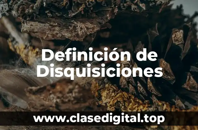 Definición de Disquisiciones