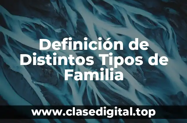 Definición de Distintos Tipos de Familia