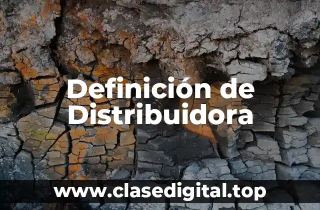Definición de Distribuidora