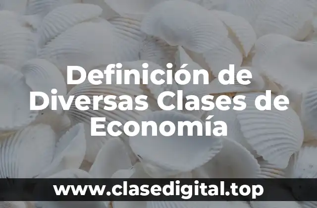 Definición de Diversas Clases de Economía
