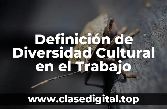 Definición de Diversidad Cultural en el Trabajo
