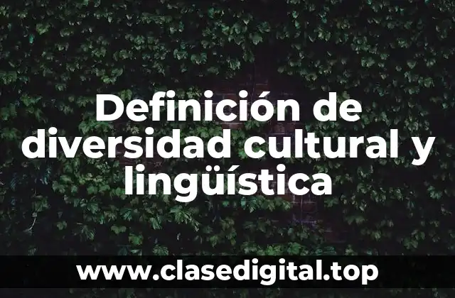 Definición de diversidad cultural y lingüística
