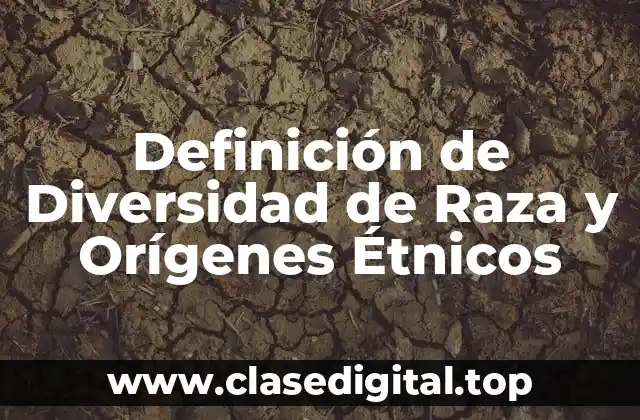Definición de Diversidad de Raza y Orígenes Étnicos