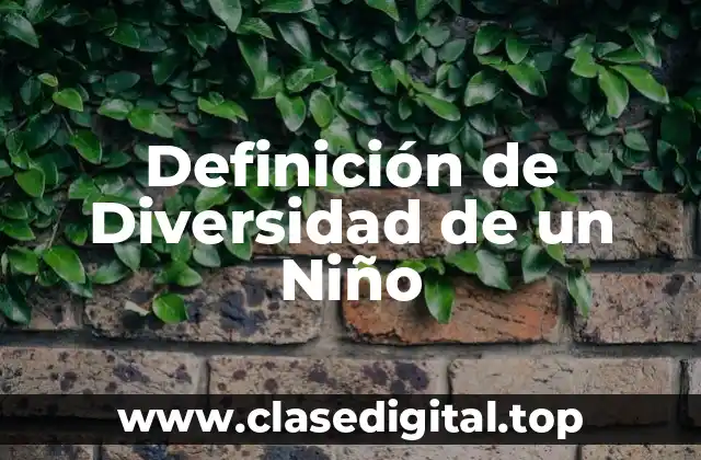 Definición de Diversidad de un Niño