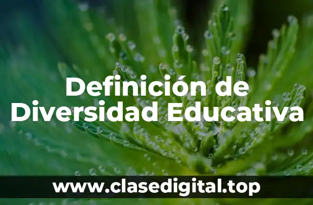 Definición de Diversidad Educativa