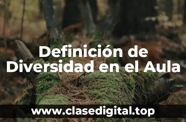 Definición de Diversidad en el Aula