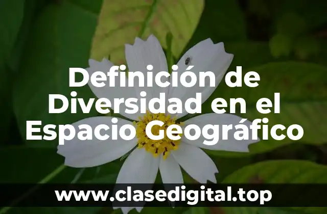 Definición de Diversidad en el Espacio Geográfico