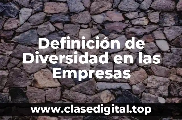 Definición de Diversidad en las Empresas