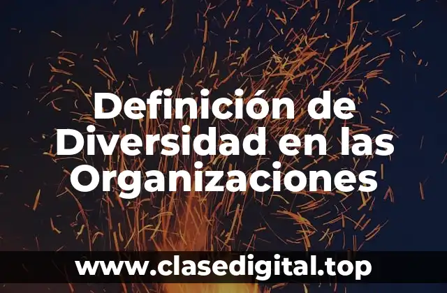 Definición de Diversidad en las Organizaciones