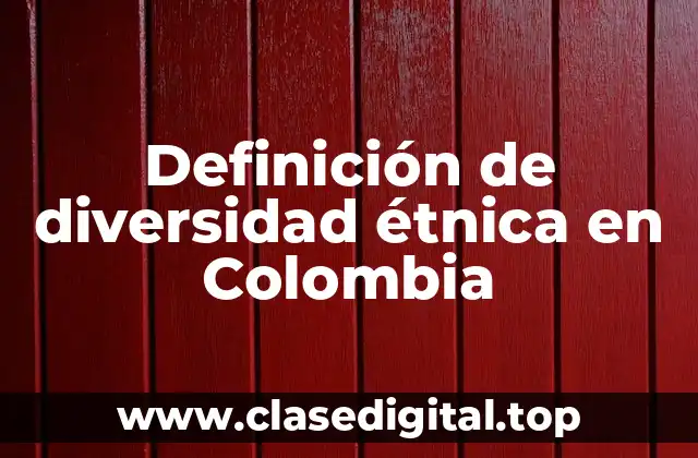 Definición de diversidad étnica en Colombia