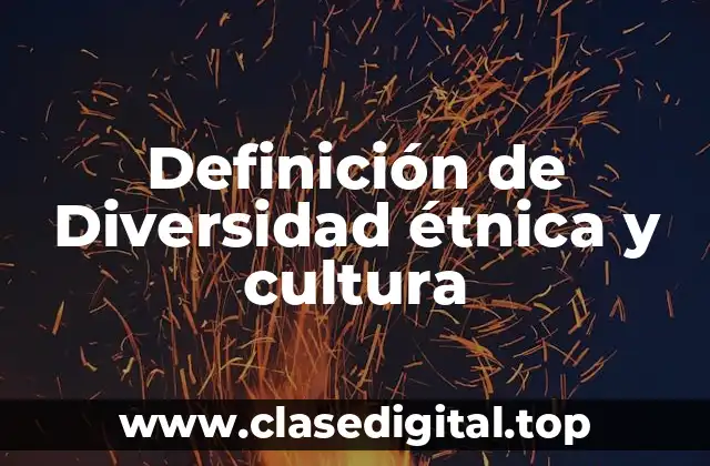 Definición de Diversidad étnica y cultura