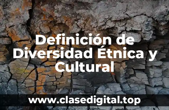 Definición de Diversidad Étnica y Cultural