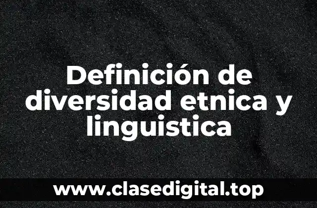 Definición de diversidad etnica y linguistica