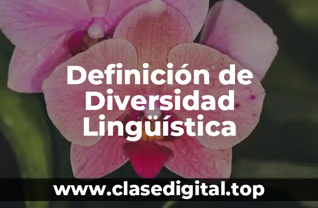 Definición de Diversidad Lingüística
