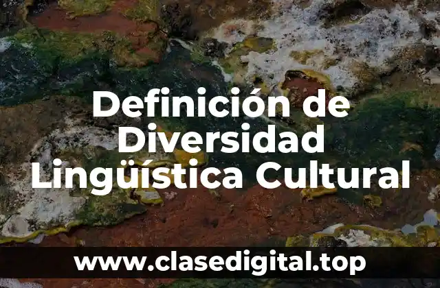 Definición de Diversidad Lingüística Cultural