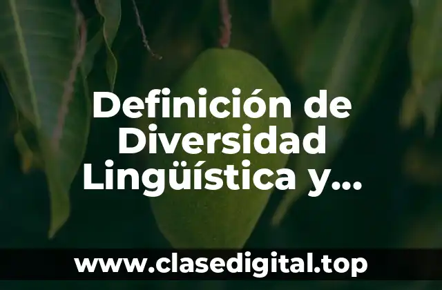 Definición de Diversidad Lingüística y Cultural