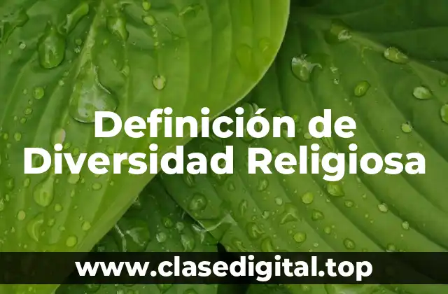 Definición técnica de Diversidad Religiosa