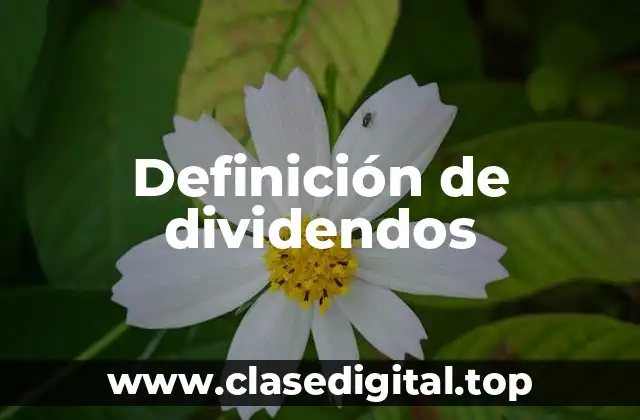 Definición técnica de dividendos