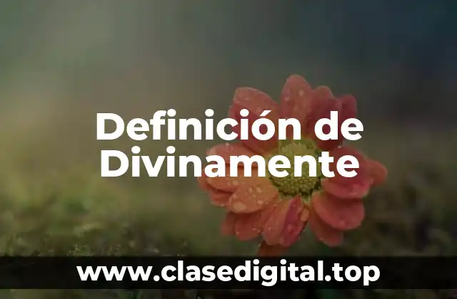 Definición de Divinamente